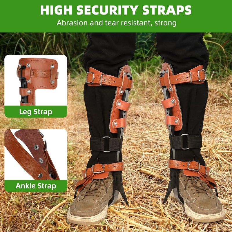 Xeoca Tree Climbing Spikes Set Tree Climbing Gear 1 Pair Alloy Steel Climbing Spurs 350lbs Load Capacity Arborist Equipment for Climbers, Fruit Picking and Lumberjack - Image 4